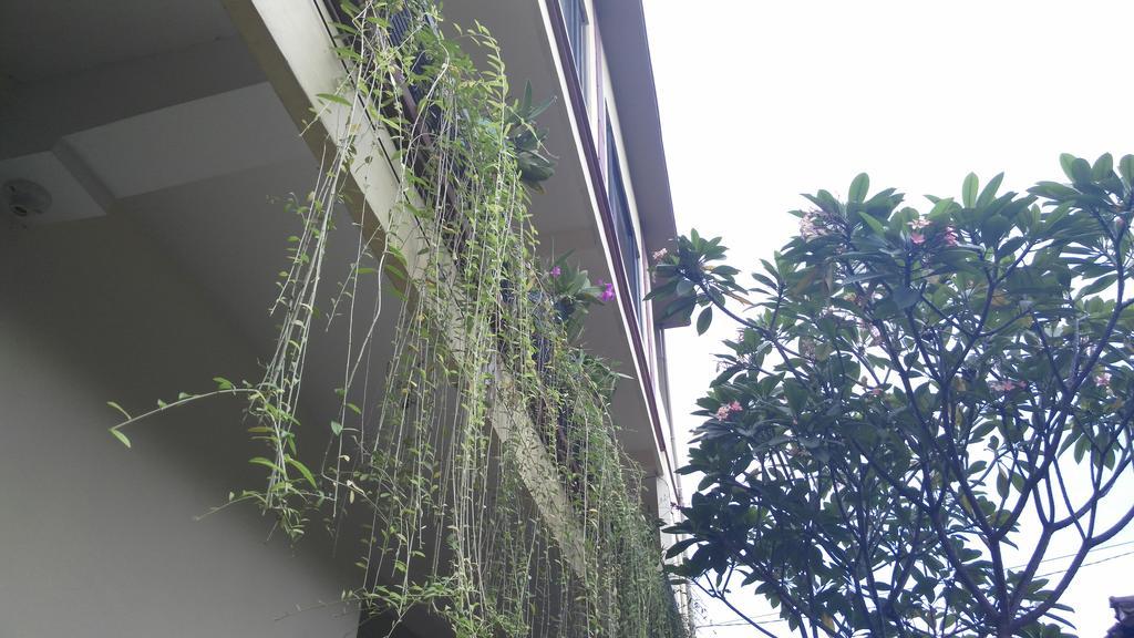 Nyoman Badri Homestay Убуд Экстерьер фото