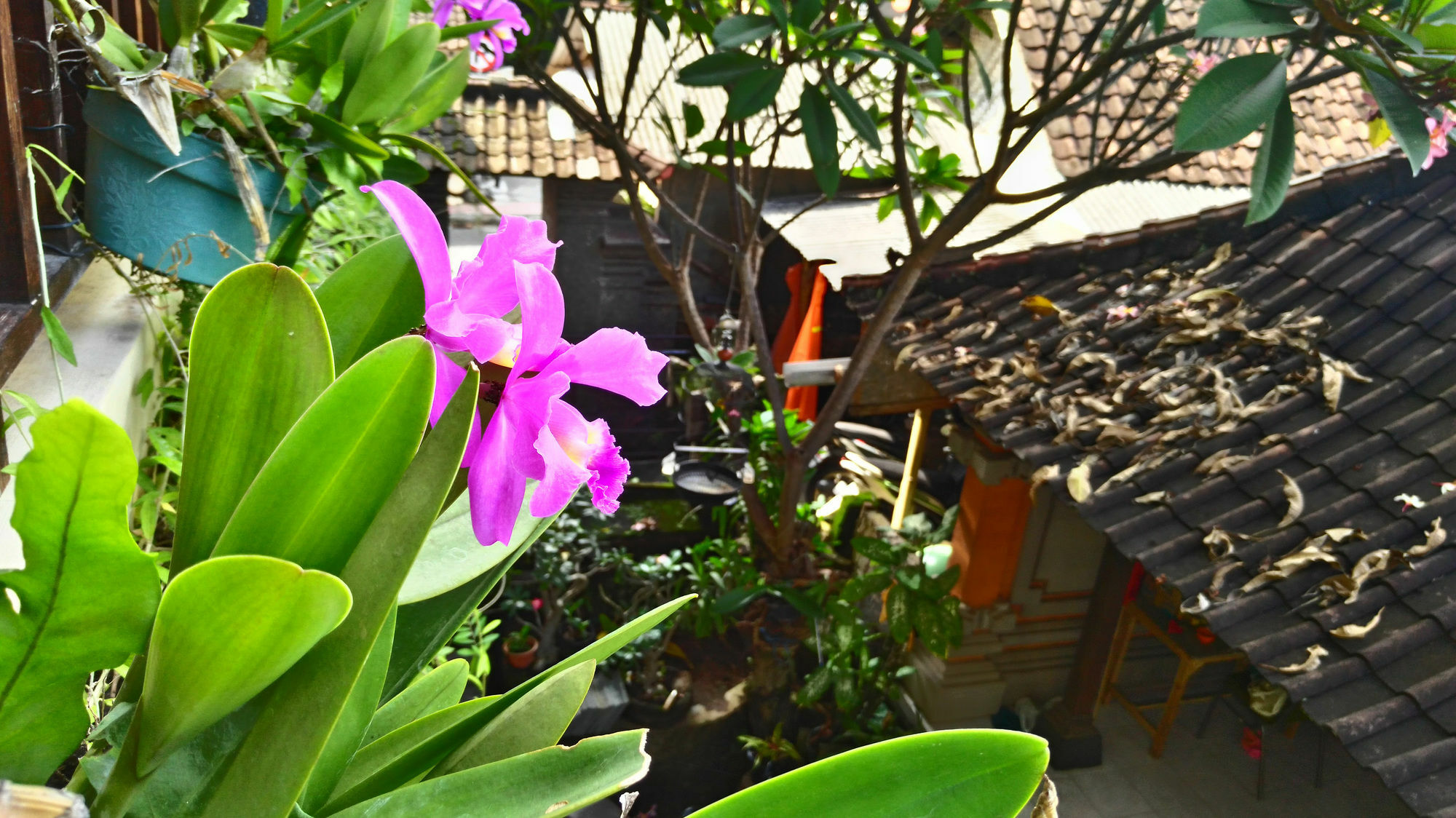 Nyoman Badri Homestay Убуд Экстерьер фото